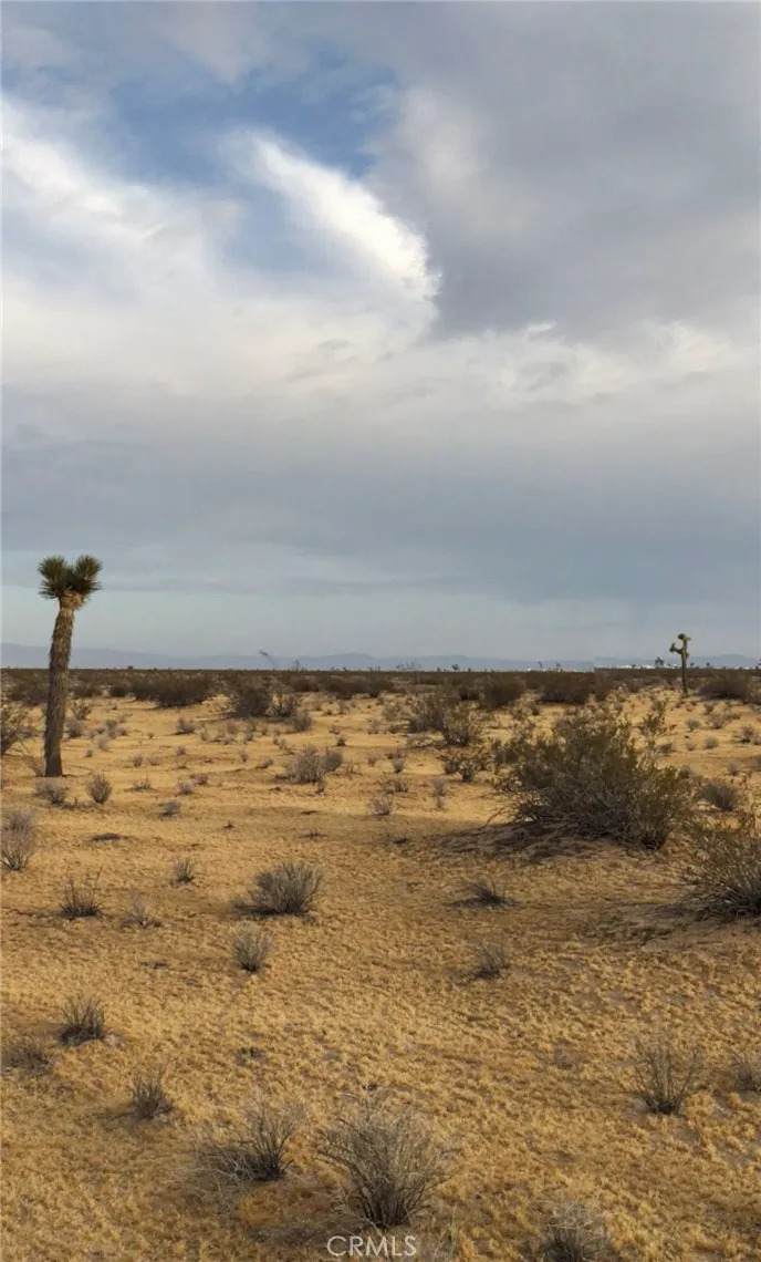 https://bt-photos.global.ssl.fastly.net/sandiego/orig_boomver_2_306625852-1.jpg