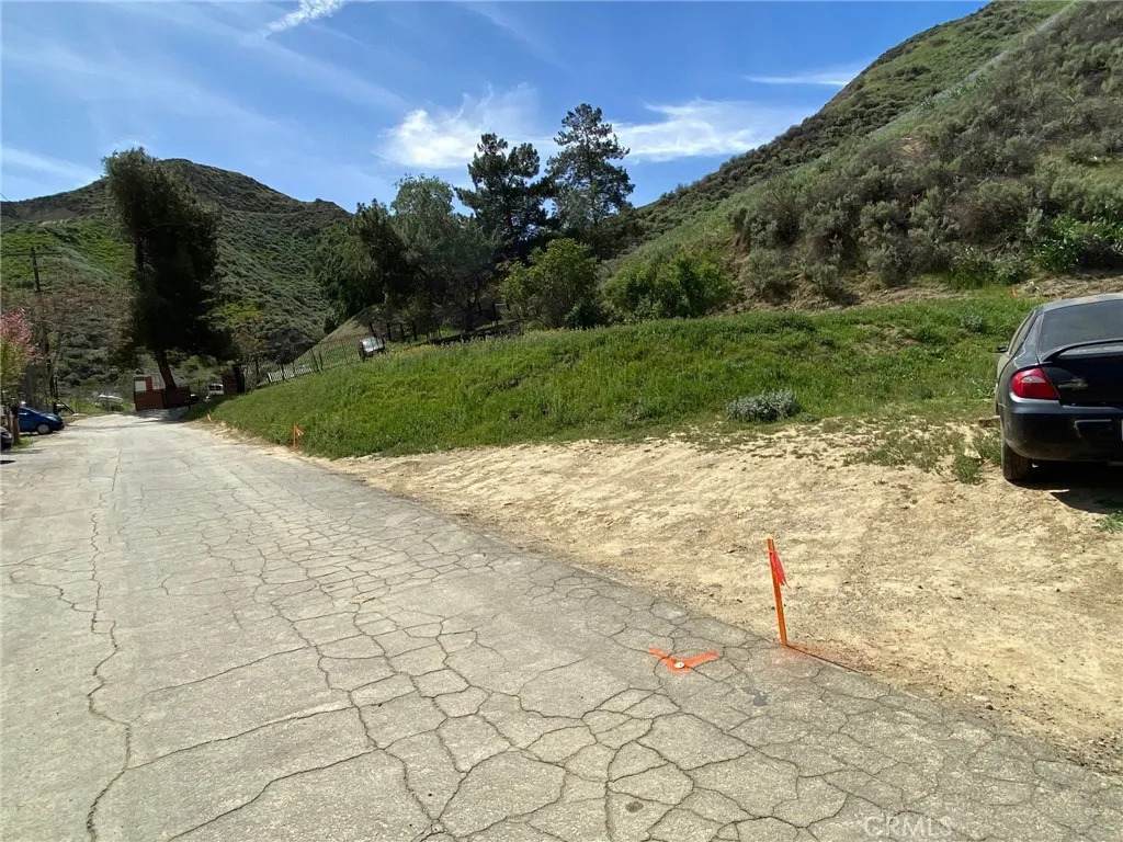 28909 Paradise Road - Photo 1