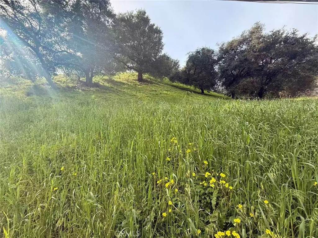 3669 Coldwater Canyon - Photo 1