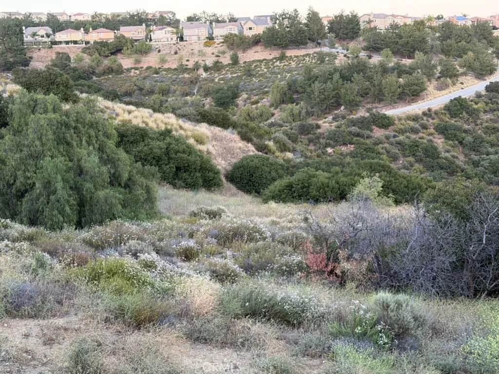 2 Coya Trail - Photo 1