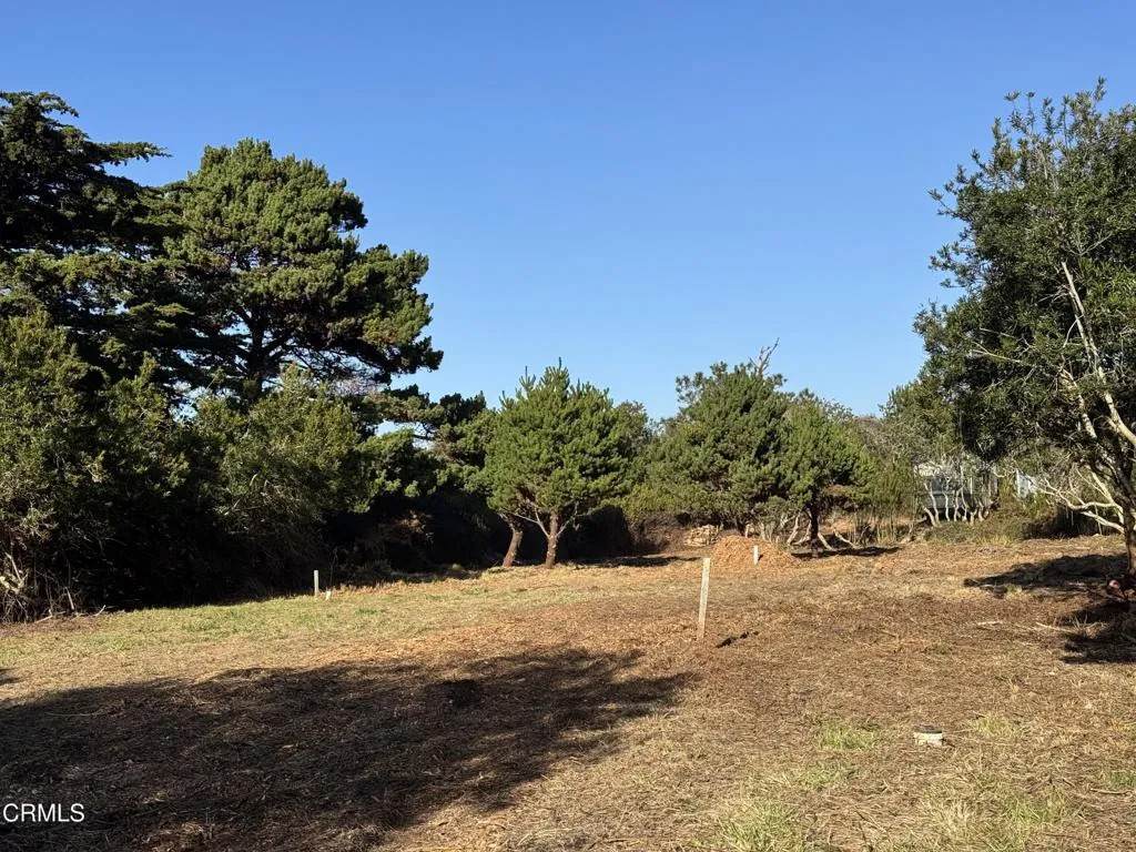 25261 Ward - Photo 1