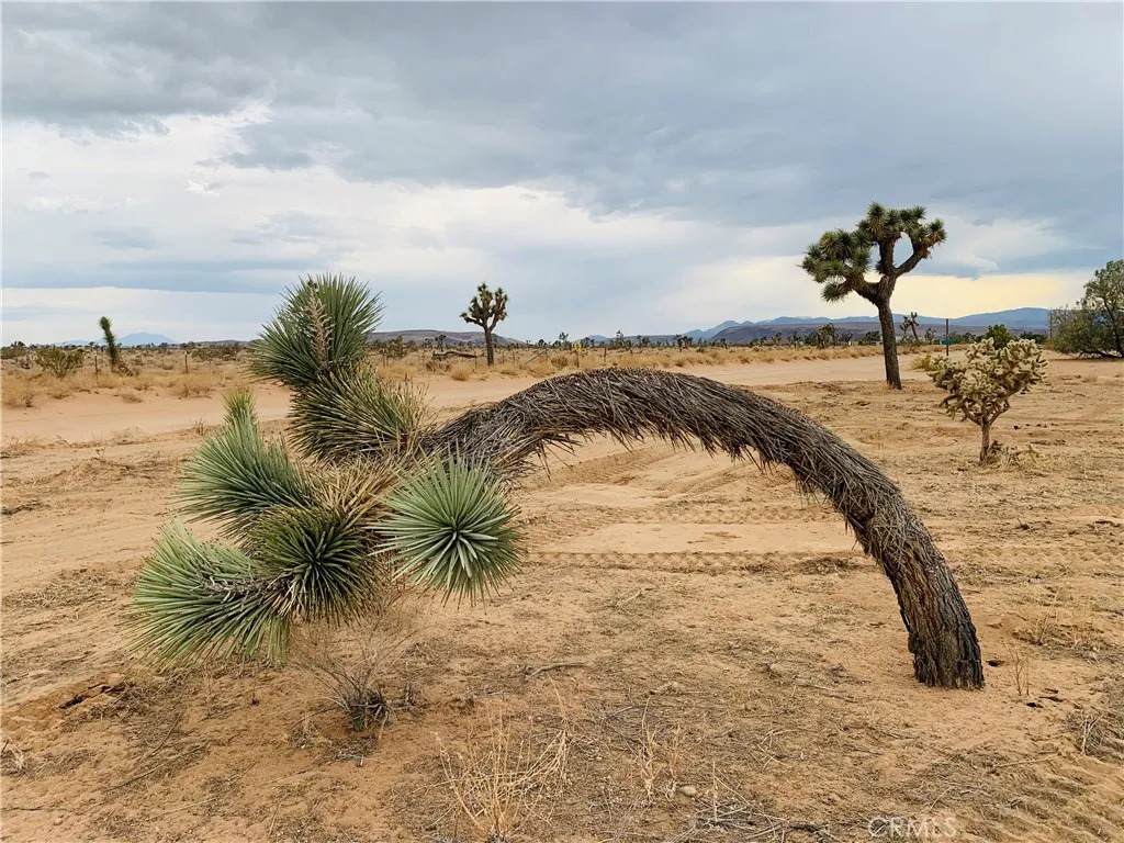 58040 Junipero - Photo 1