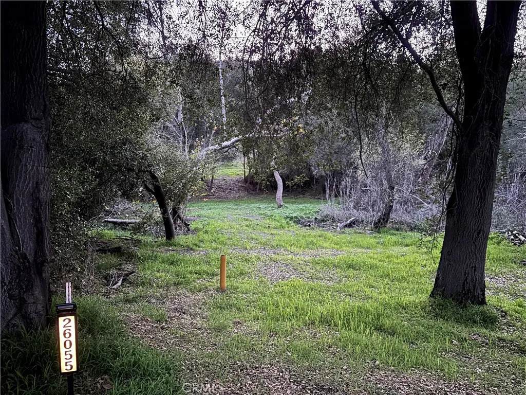 26055 Avenida Del Oro - Photo 1