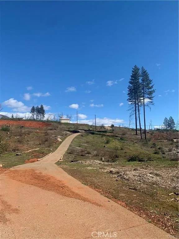 1905 Paige - Photo 1