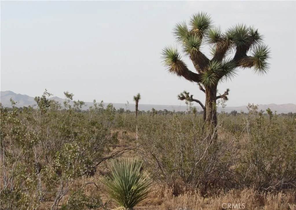 0 3129-171-06-0000 Caughlin - Photo 1