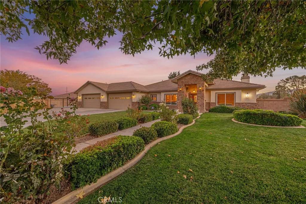 2534 Desert Rose Drive - Photo 1