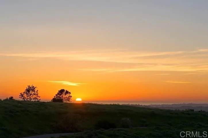 https://bt-photos.global.ssl.fastly.net/sandiego/orig_boomver_2_306678660-1.jpg