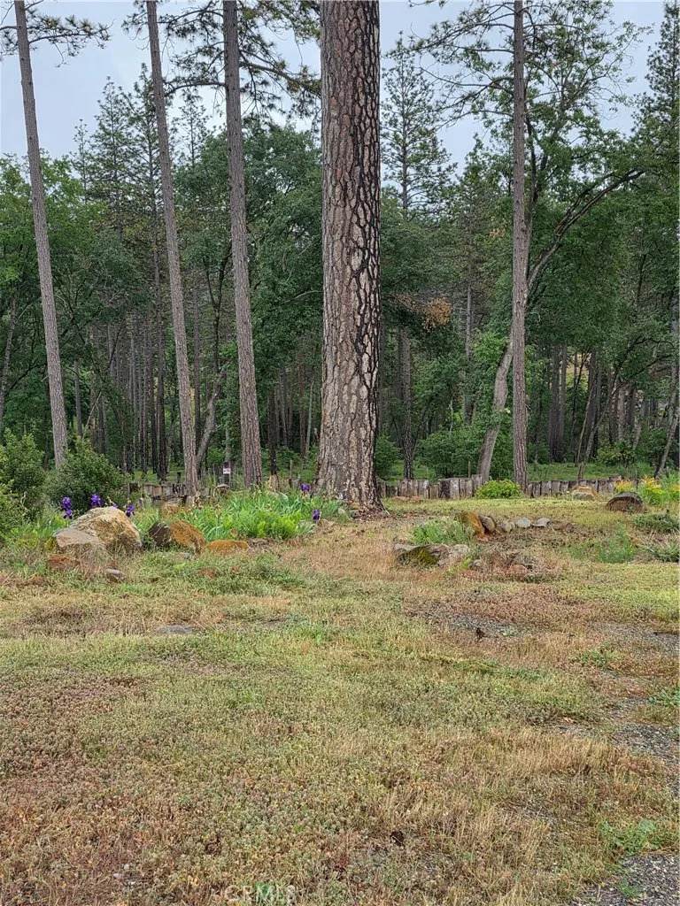 1684 Flicker - Photo 1