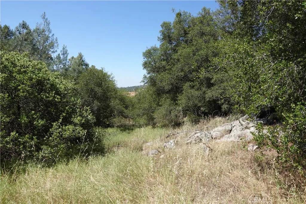 0 Running Deer Way - Photo 1