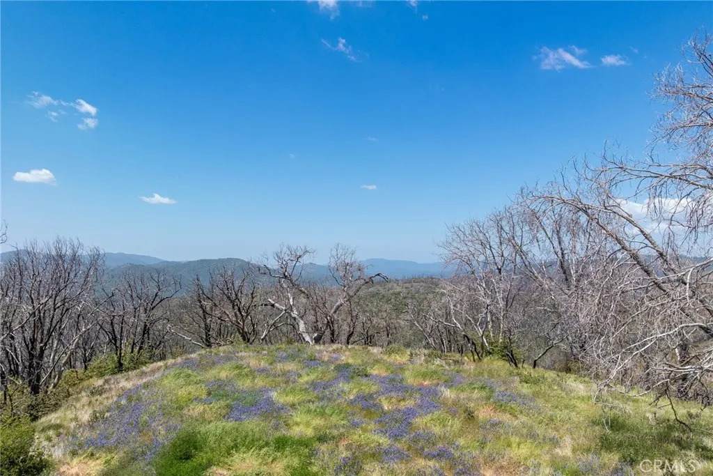 39 Acres Buckingham Mountain - Photo 1