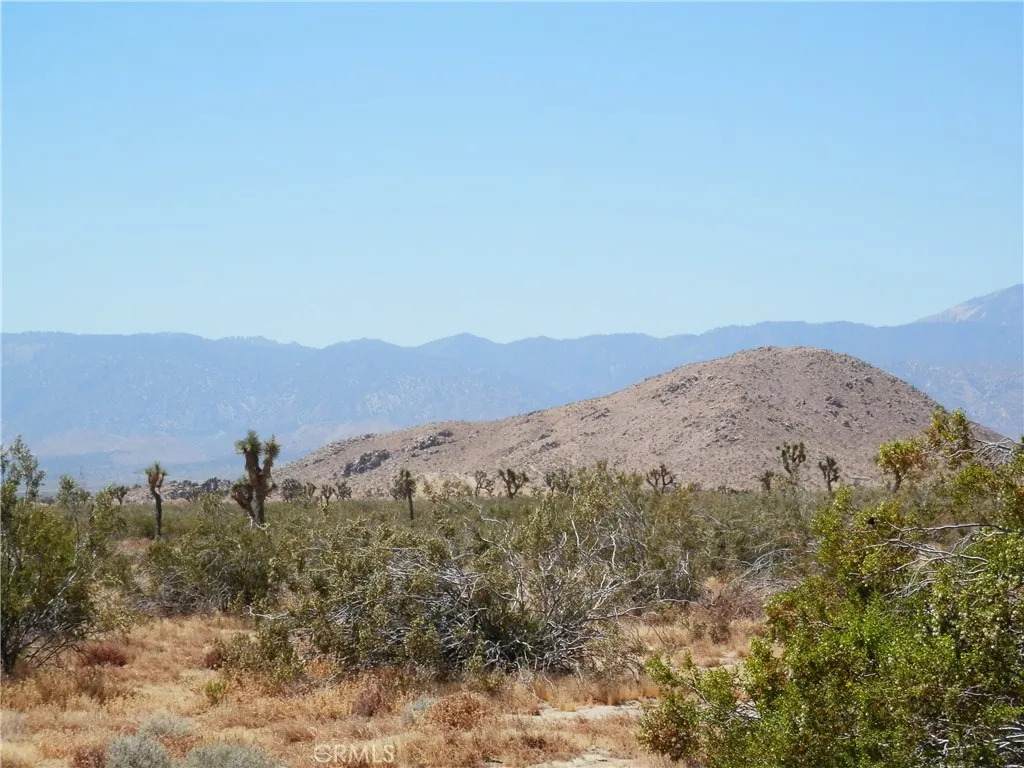 https://bt-photos.global.ssl.fastly.net/sandiego/orig_boomver_2_306730687-1.jpg