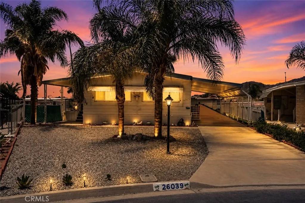 26039 Sago Palm - Photo 1