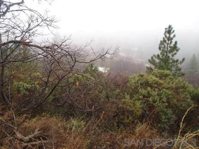 0 Highway 79 - Photo 1
