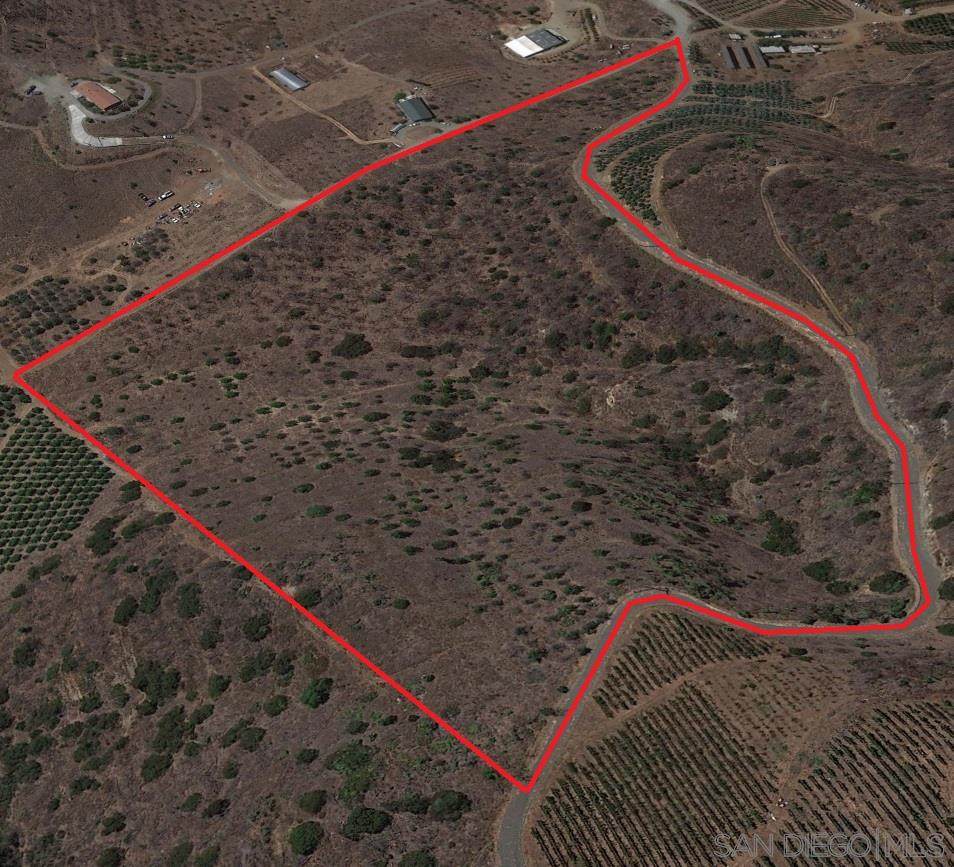 21.36 acres on Santa Virginia Dr - Photo 1