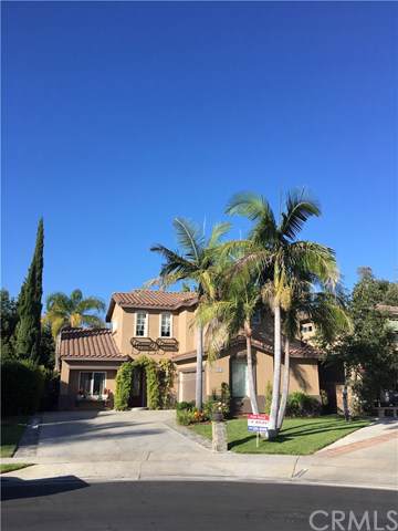 22971 Bouquet Canyon - Photo 1