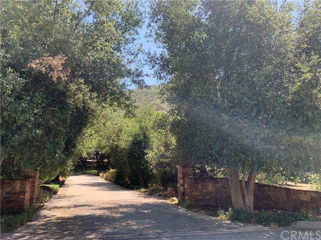 28082 Williams Canyon - Photo 1