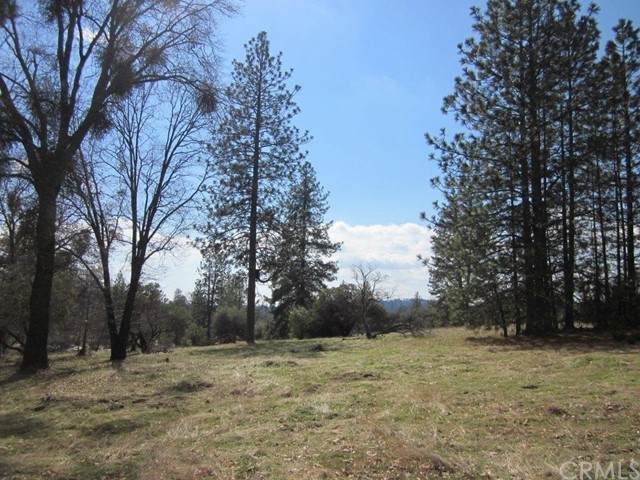 0 Hard Times Ranch - Photo 1