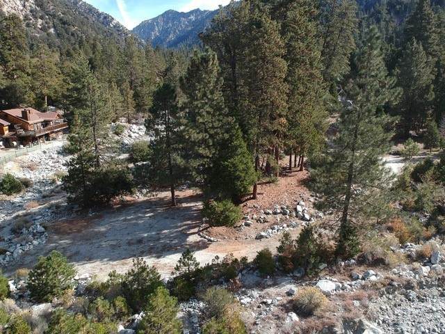 0 Quercus - Photo 1