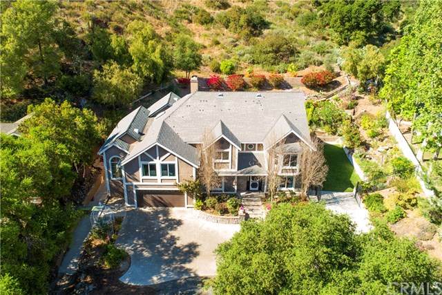 29305 Modjeska Canyon Road - Photo 1
