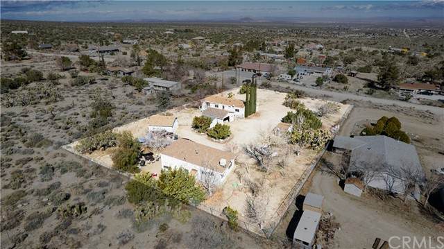 569 Smoke Tree - Photo 1