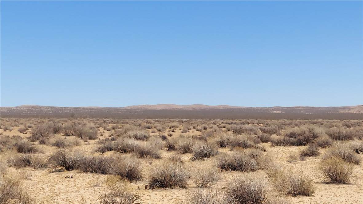 0 Sequoia - Photo 1