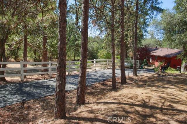 34726 Road 221 - Photo 1
