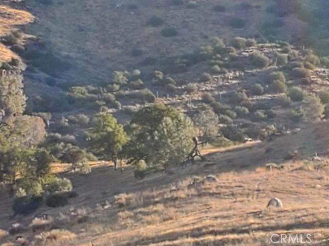 0 Jacob #2 - Photo 1