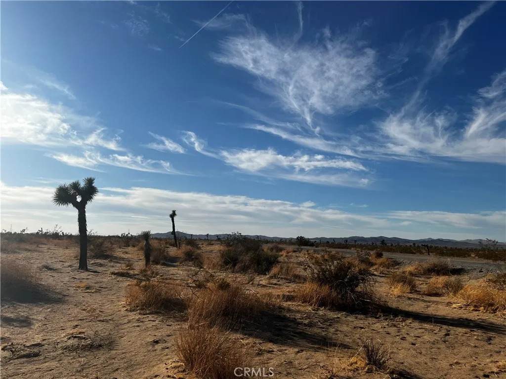 0 El Mirage - Photo 1