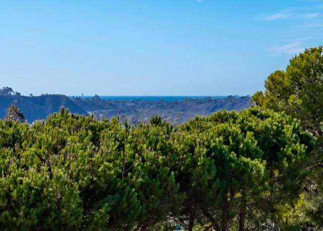 3660 Vista Campana - Photo 1