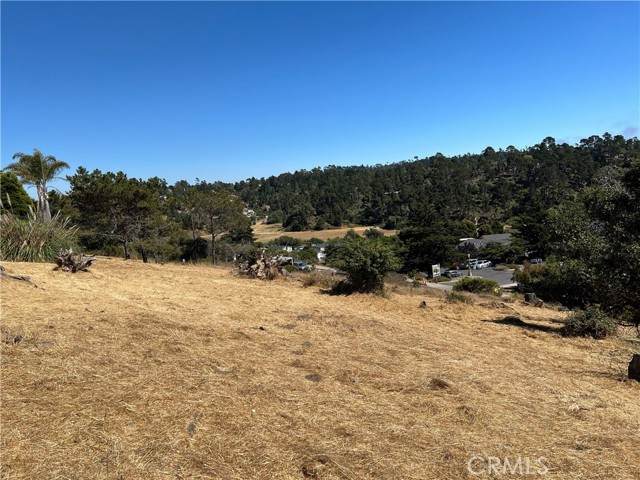 4925 Grove - Photo 1