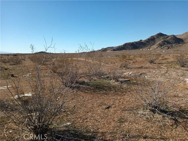 0 Los Padres - Photo 1