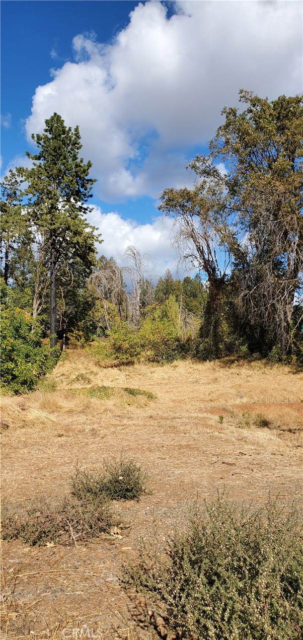 8819 Skyway - Photo 1