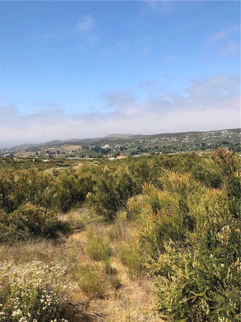 10 Treasure Drive - Photo 1