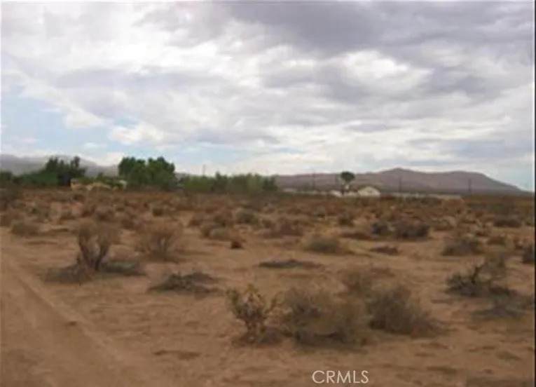 25982 Bellflower - Photo 1