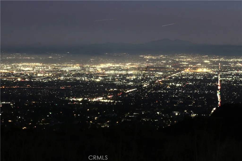 10049 Snowdrop - Photo 1