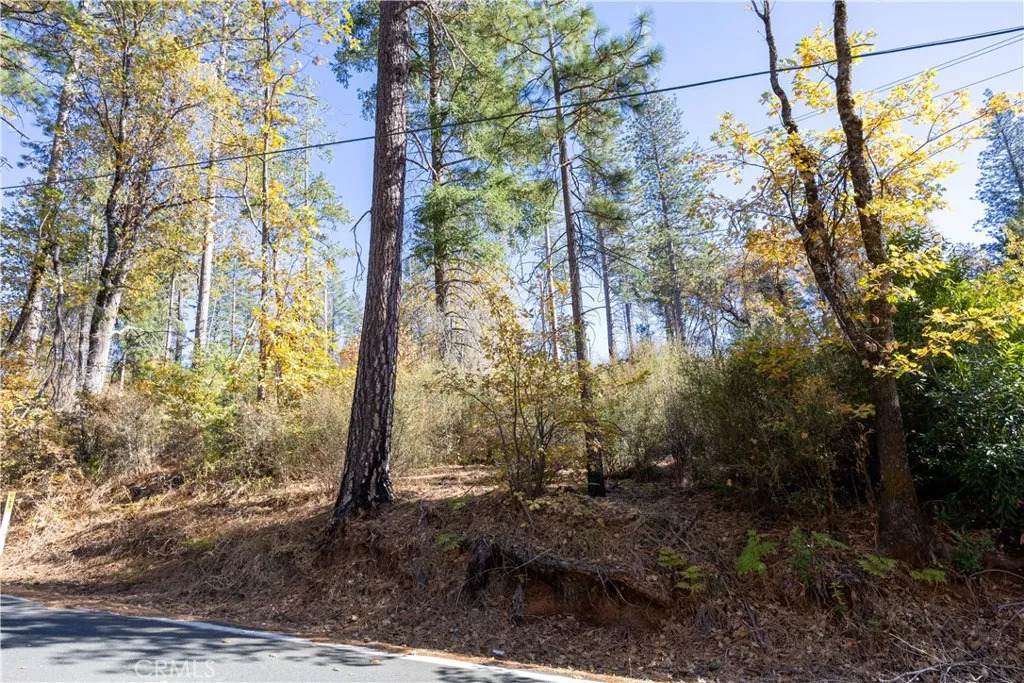 10981 Gifford Springs - Photo 1