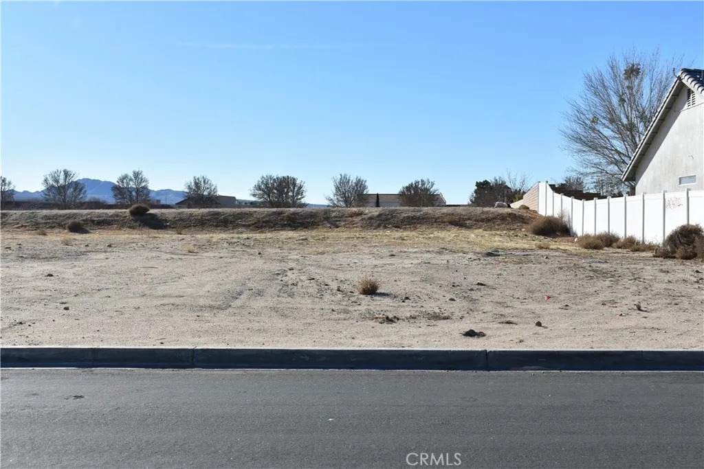 27231 Peach Tree - Photo 1