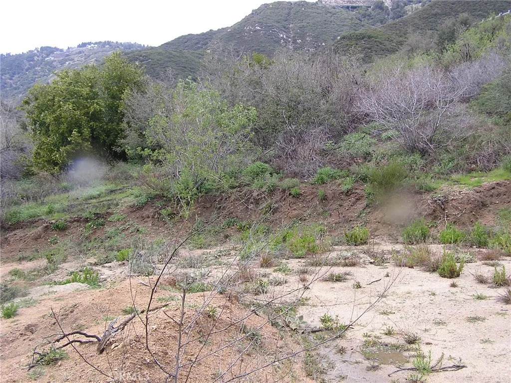 https://bt-photos.global.ssl.fastly.net/sandiego/orig_boomver_3_306125723-1.jpg
