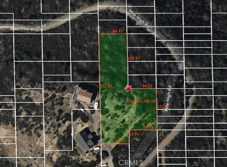 17184 Mile High - Photo 1