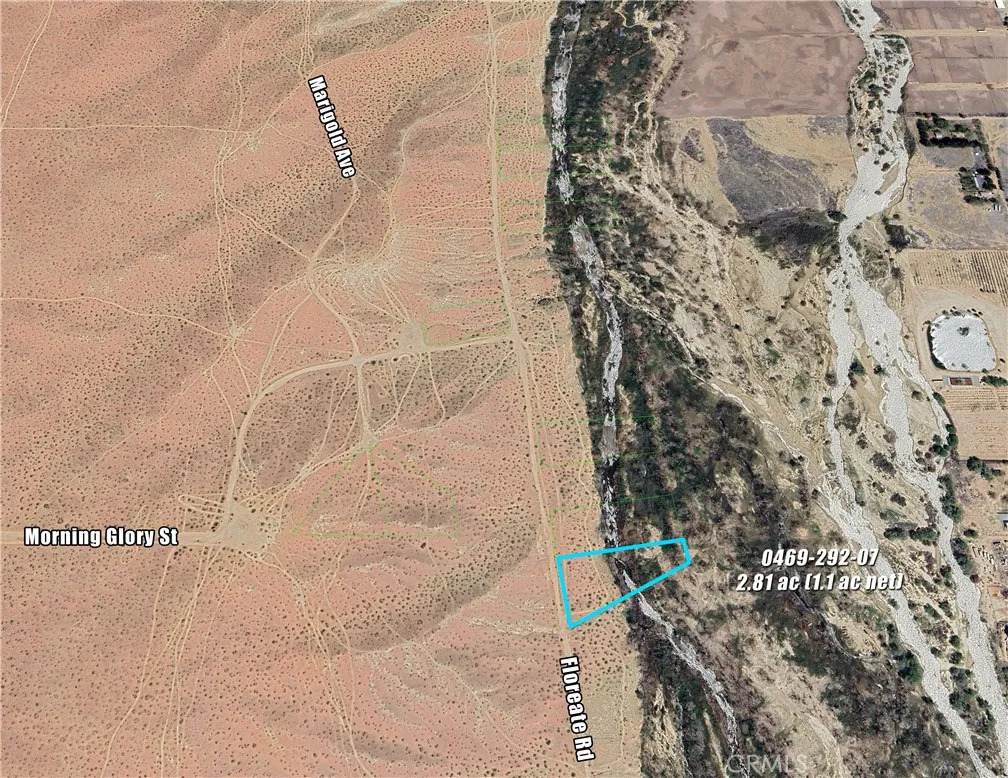 0 Floreate - Photo 1