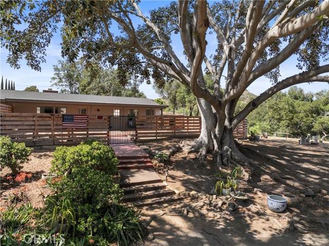 3210 Live Oak Park Rd - Photo 1