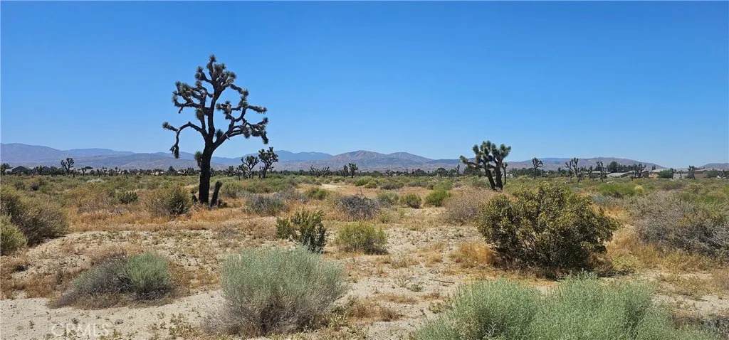 0 Palmdale - Photo 1