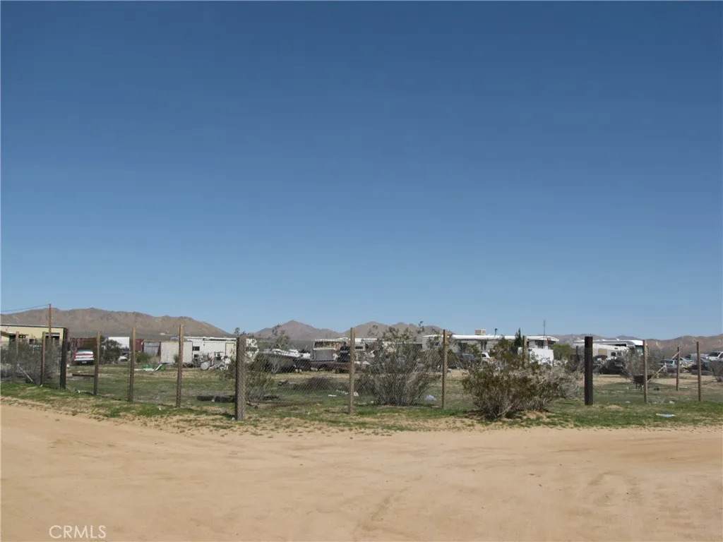 19481 Dachshund - Photo 1