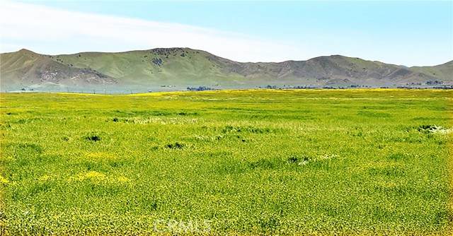 13075 Calimesa - Photo 1