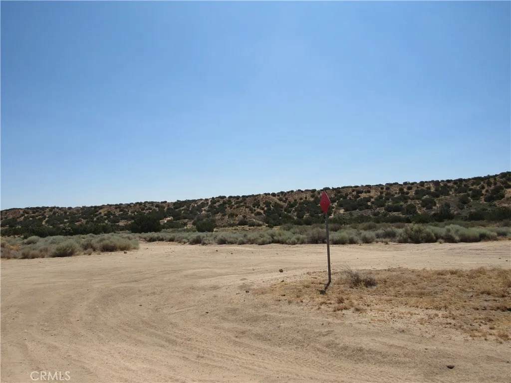 0 Middleton Ave - Photo 1