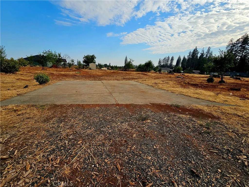 2015 Picnic - Photo 1