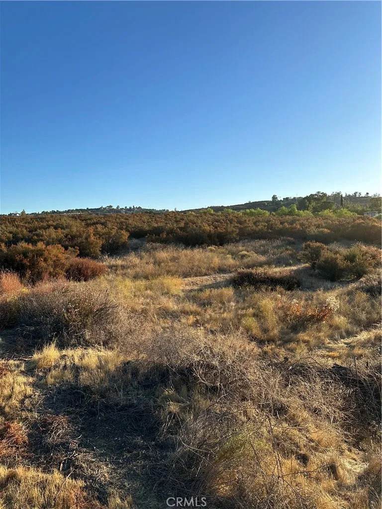 54 Sable - Photo 1