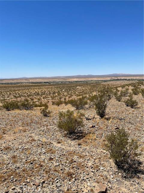 15510 Oleander - Photo 1