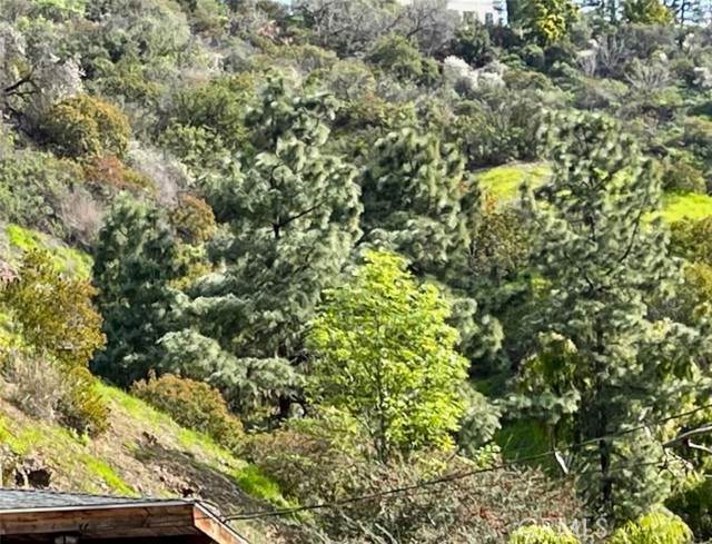 0 Off Beverly Glen - Photo 1