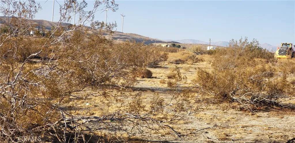 26 Seely - Photo 1